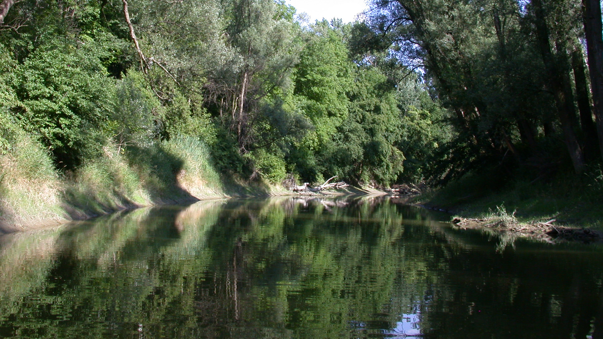 Orth an der Donau 2